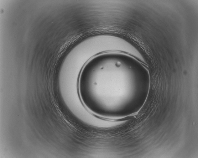 X0000087640740200705181525