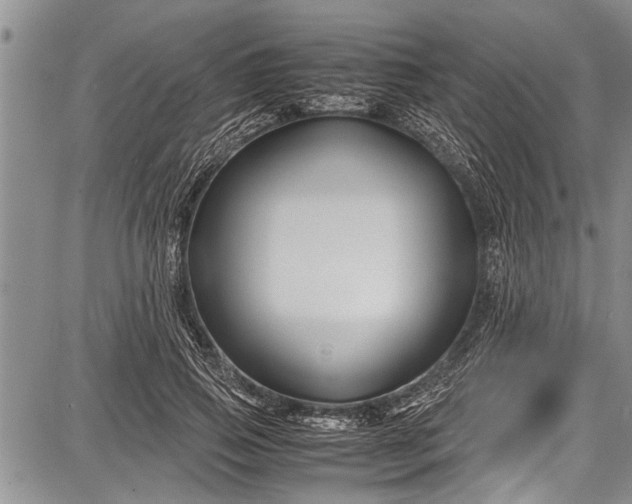 X0000087640741200705181525