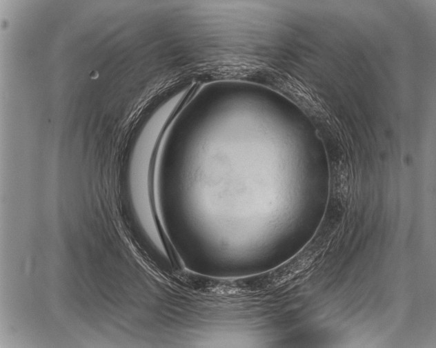 X0000087640742200705181525