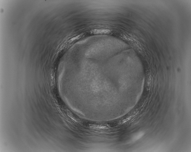 X0000087640743200705181525