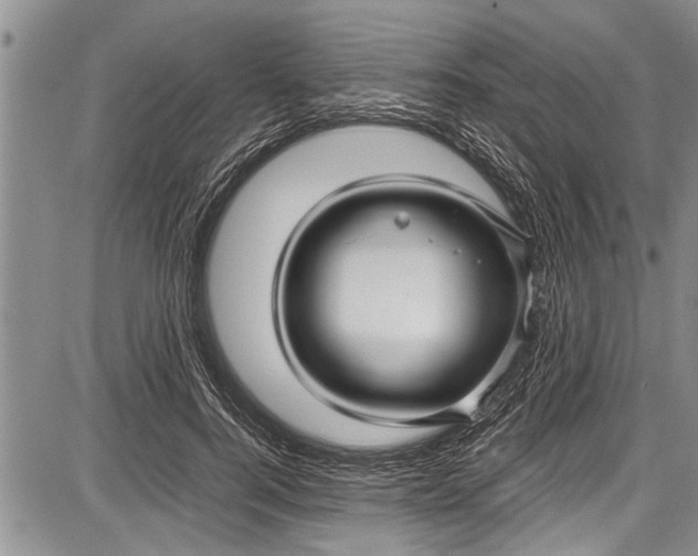 X0000087640744200705181525