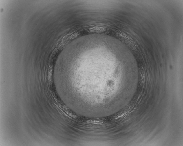 X0000087640745200705181525