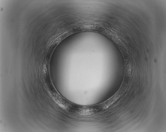 X0000087640746200705181525