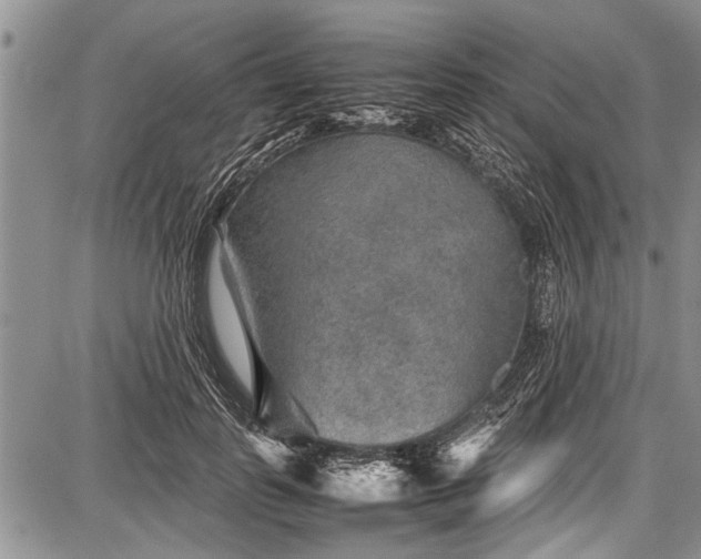 X0000087640747200705181525