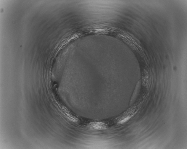 X0000087640748200705181525