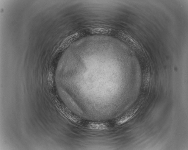 X0000087640749200705181525