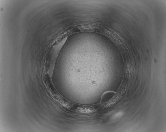 X0000087640751200705181525