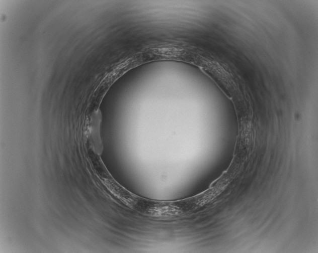 X0000087640752200705181525