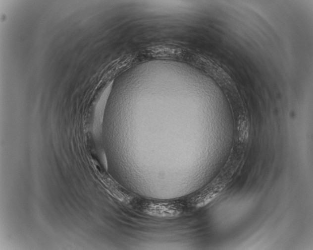 X0000087640753200705181525