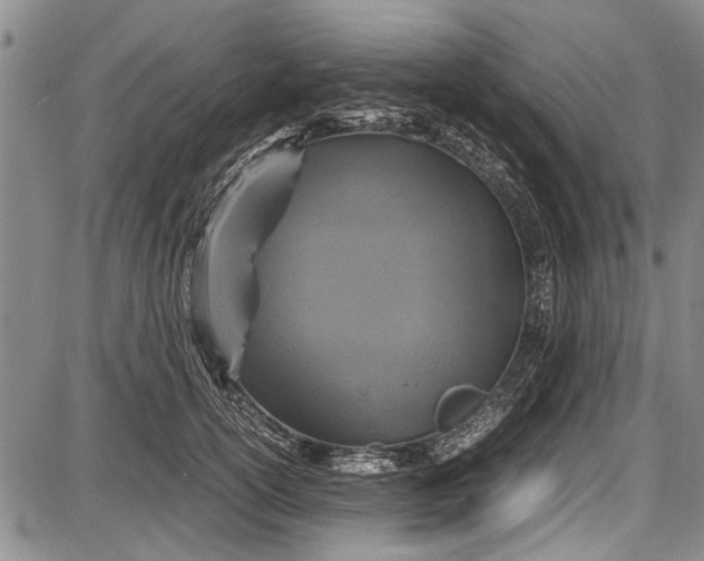 X0000087640754200705181525