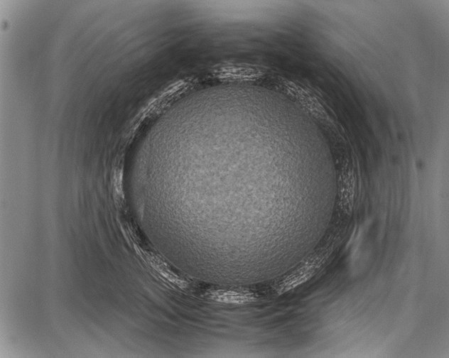 X0000087640755200705181525