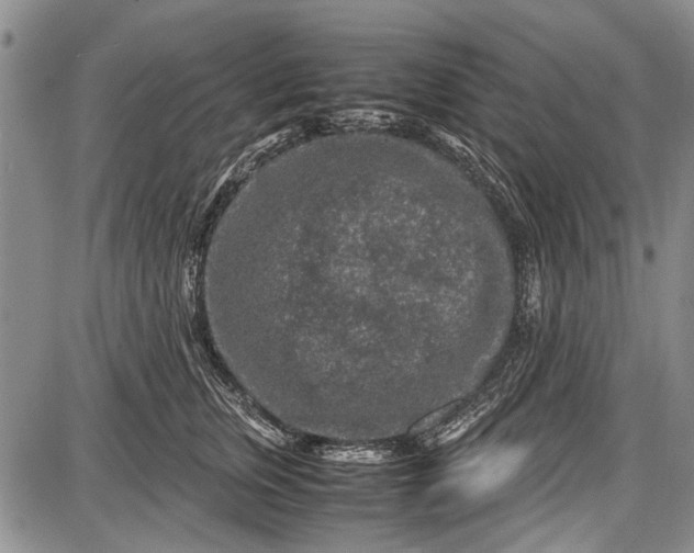 X0000087640759200705181525