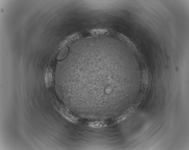 X0000087640761200705181525