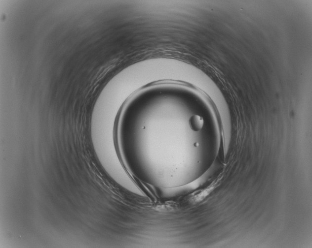 X0000087640762200705181525