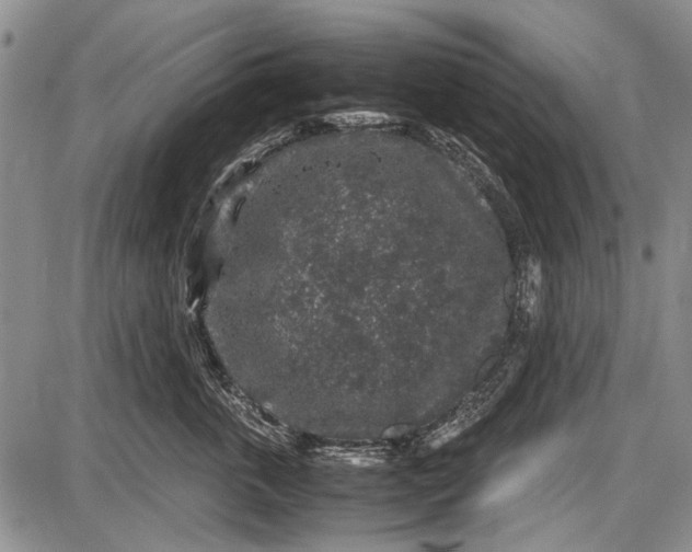 X0000087640763200705181525