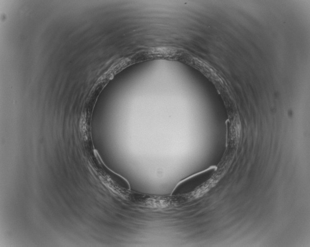 X0000087640764200705181525