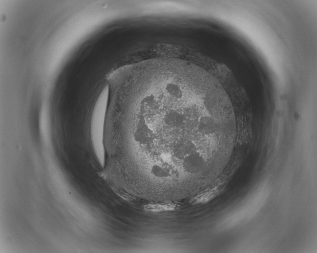 X0000087640765200705181525