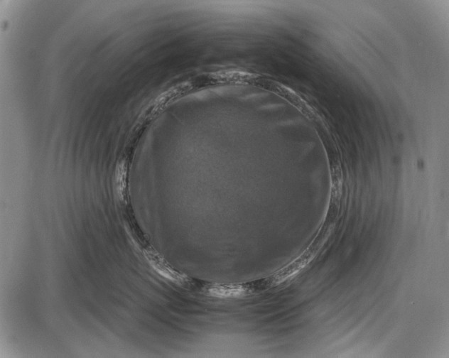 X0000087640767200705181525