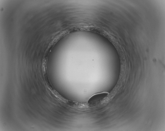 X0000087640768200705181525