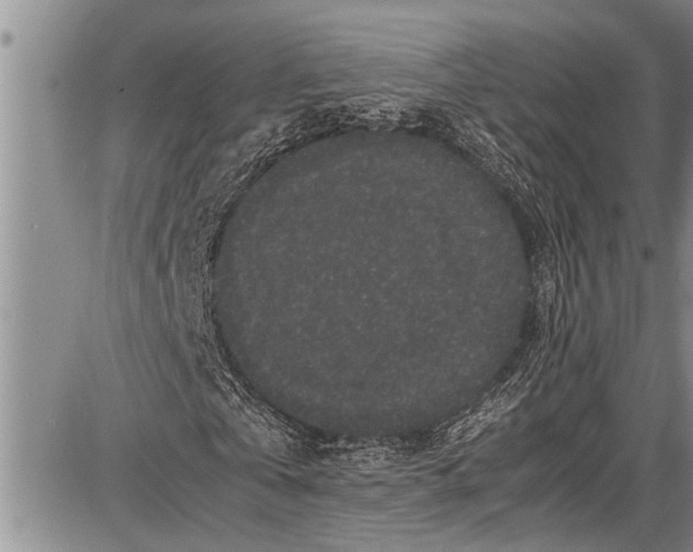 X0000087640769200705181524