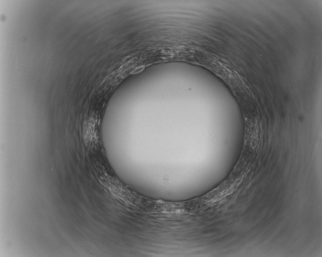 X0000087640770200705181524