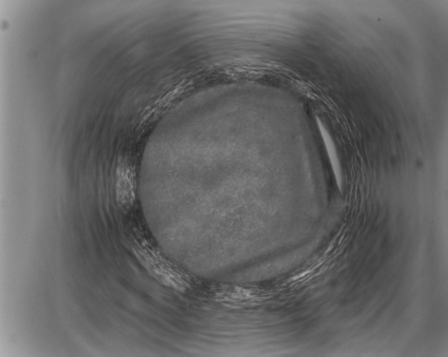 X0000087640772200705181524