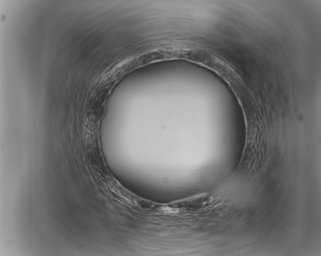 X0000087640773200705181524