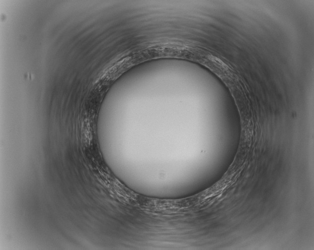 X0000087640774200705181524