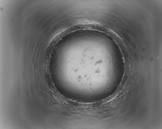 X0000087640775200705181524