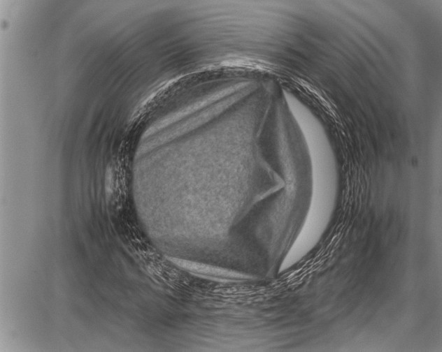 X0000087640776200705181524