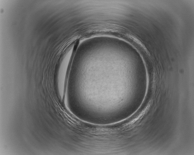 X0000087640777200705181524