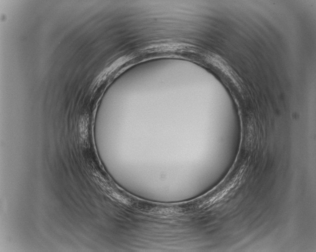 X0000087640778200705181524