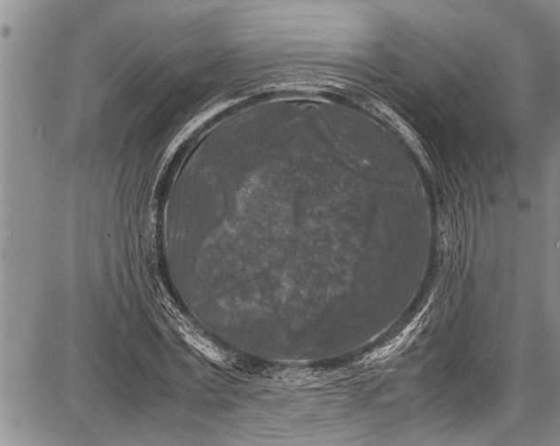 X0000087640779200705181524