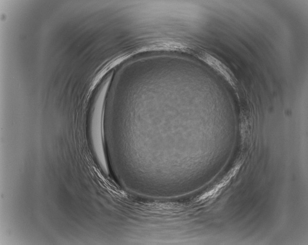 X0000087640781200705181524