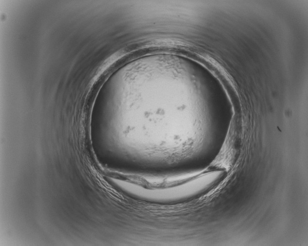 X0000087640783200705181524