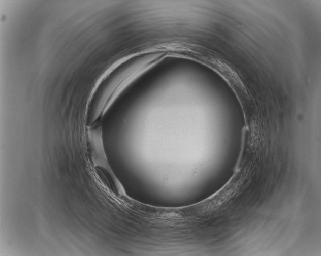 X0000087640784200705181524