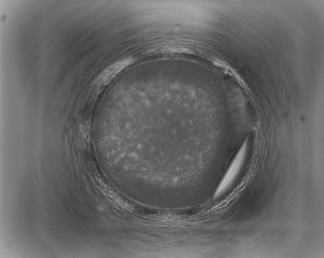 X0000087640785200705181524