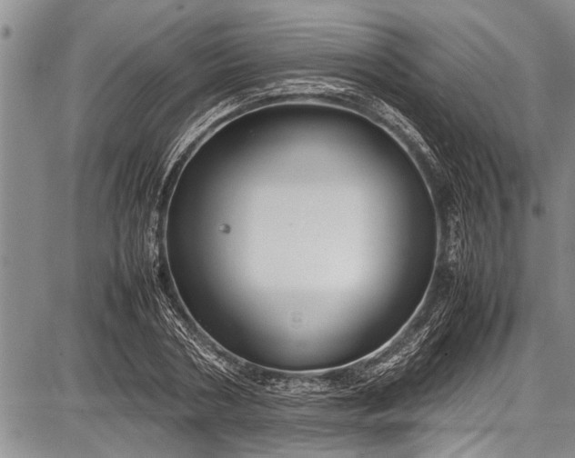 X0000087640786200705181524