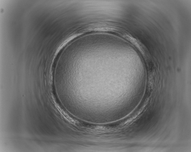 X0000087640787200705181524