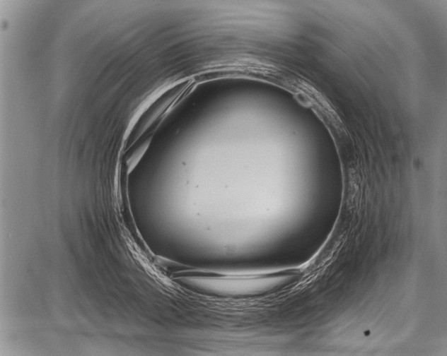 X0000087640788200705181524