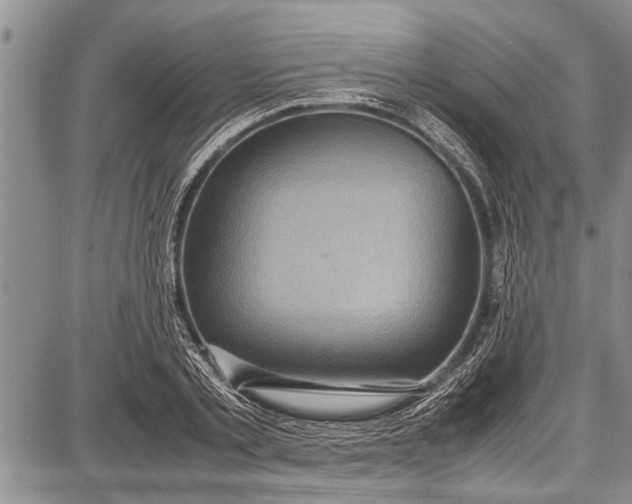 X0000087640789200705181524