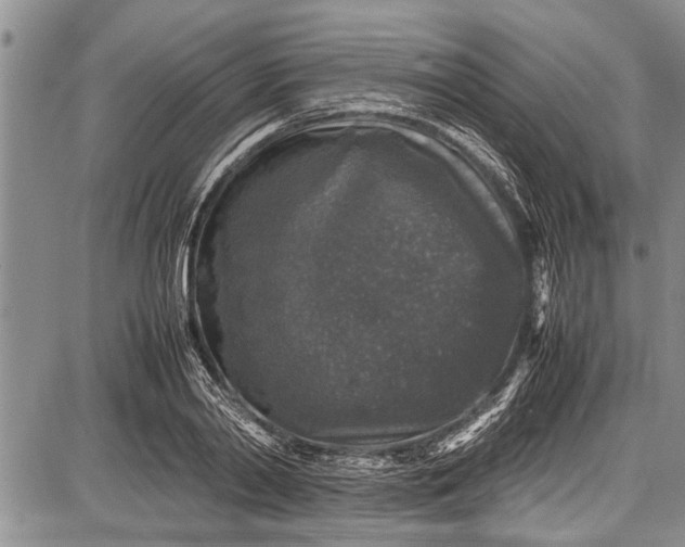 X0000087640790200705181524