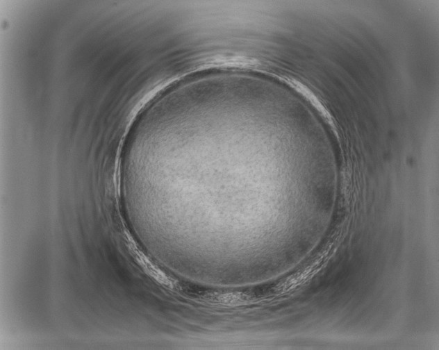 X0000087640791200705181524