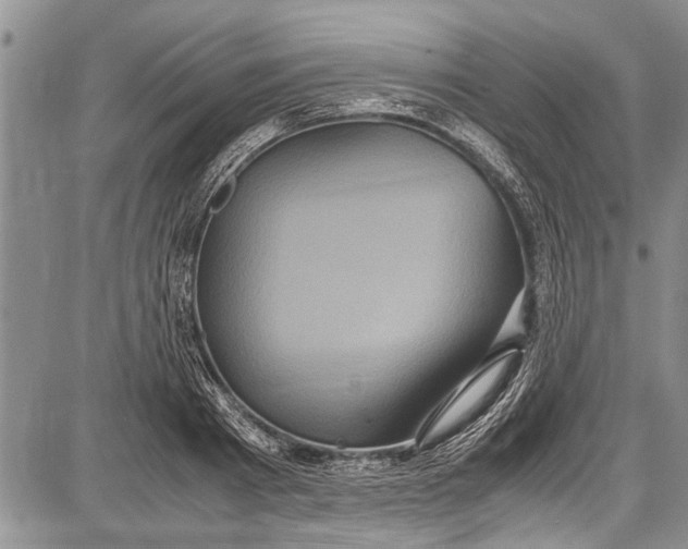 X0000087640793200705181524