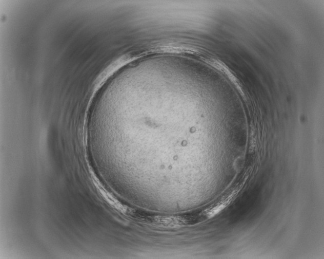 X0000087640795200705181524