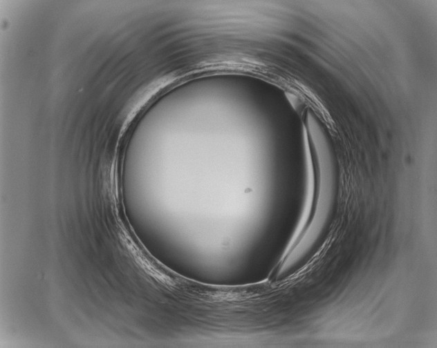 X0000087640796200705181524