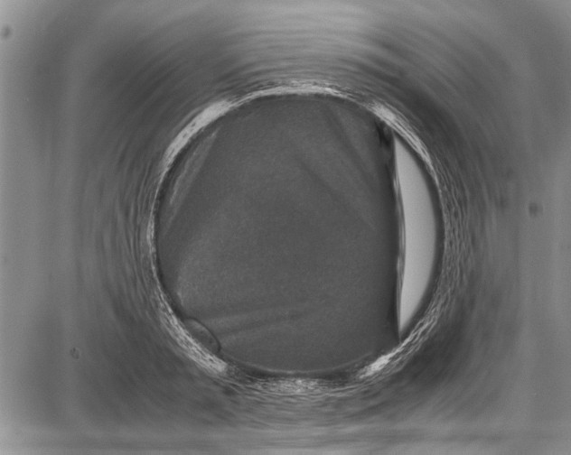 X0000087640797200705181524