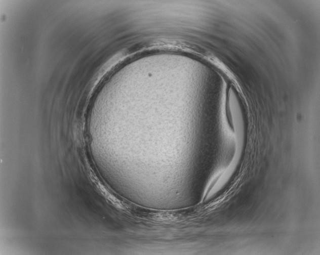 X0000087640799200705181524