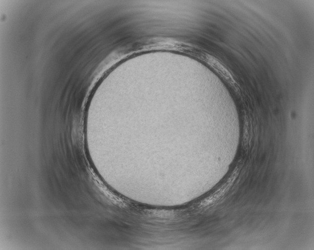 X0000087640800200705181524