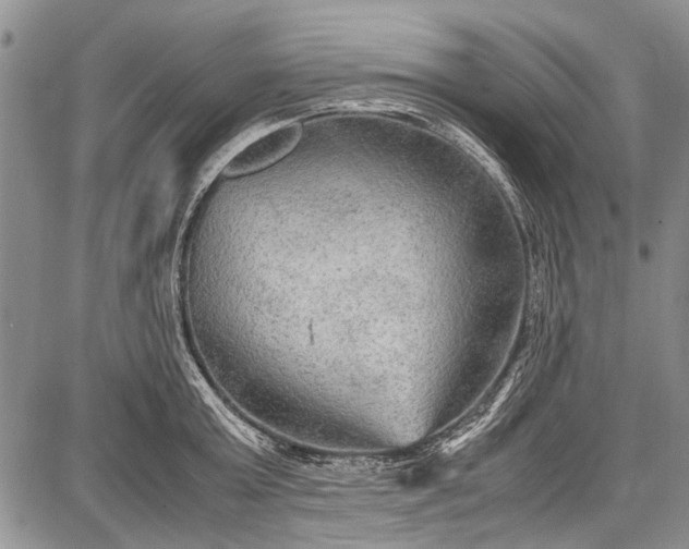 X0000087640803200705181524